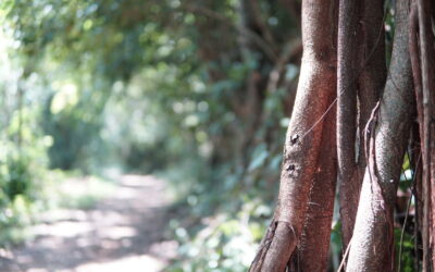 Voyage au Cambodge | kep