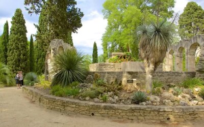 Jardin des plantes