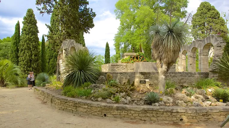 Jardin des plantes