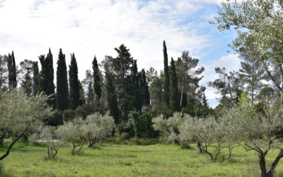 Domaine de Restinclières