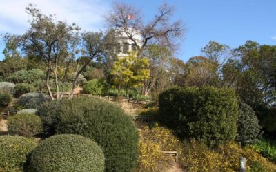 Jardin de la Motte
