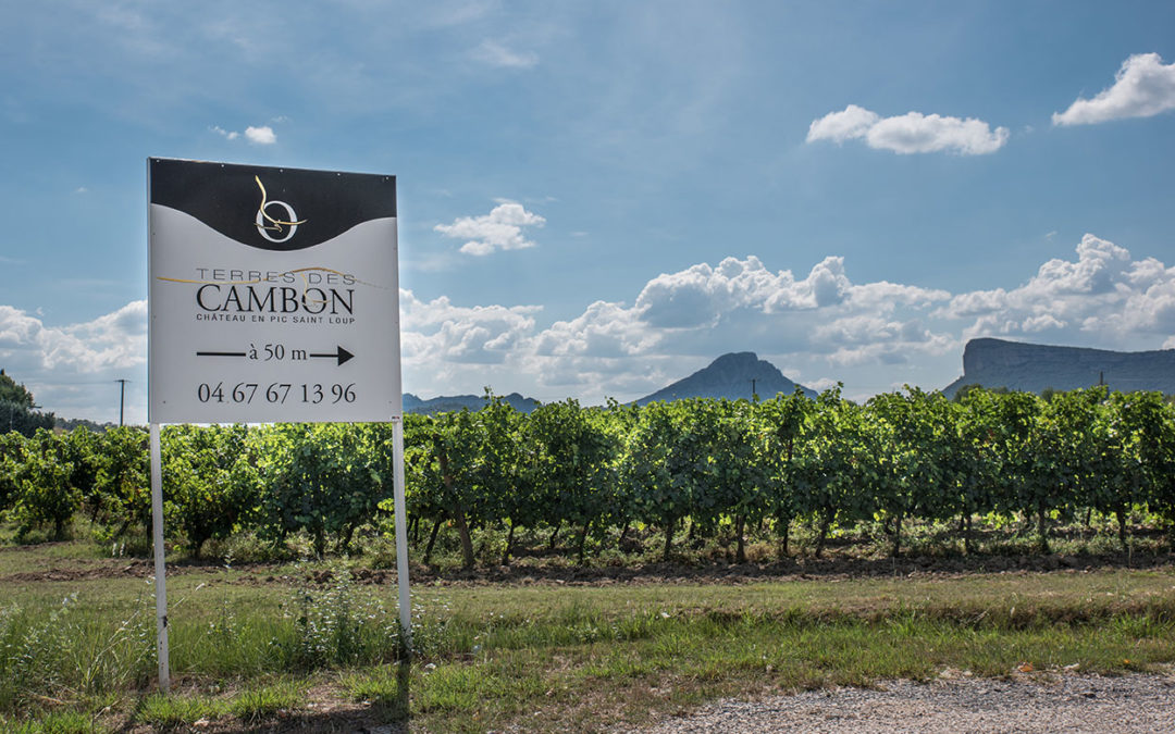 Domaine Terres des Cambon